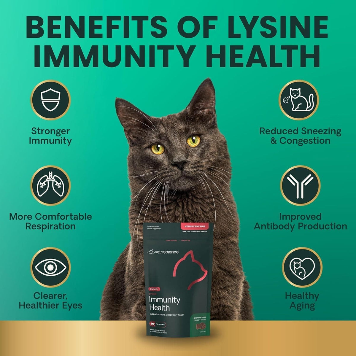 Lysine + DMG Immune Rescue Chews™ 90 count