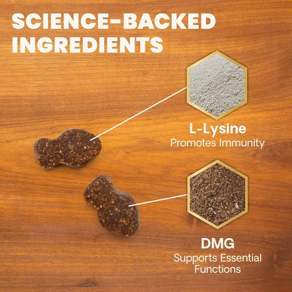 Lysine + DMG Immune Rescue Chews™ 90 count
